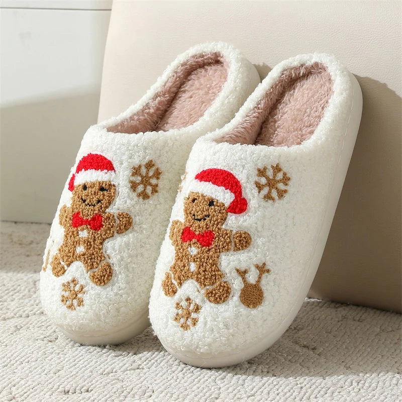 Winter Stylish Slipper